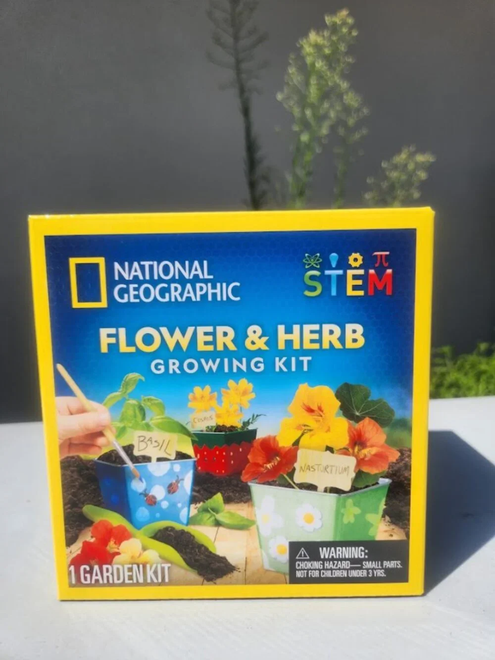 New National Geographic Flower and Herb Gardening Activity Kit for Kids Indoor O